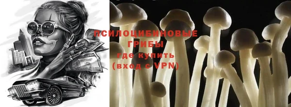 ECSTASY Заволжье