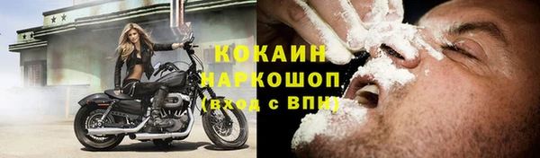 дмт Ельня