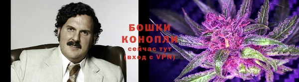 крисы Заволжск