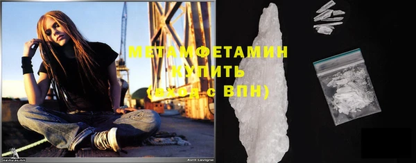 индика Елабуга