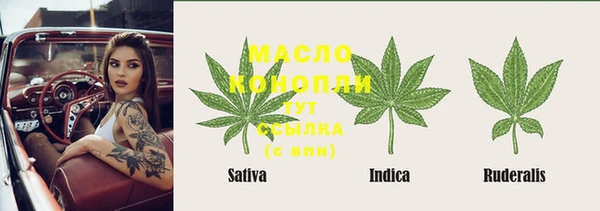 дмт Ельня