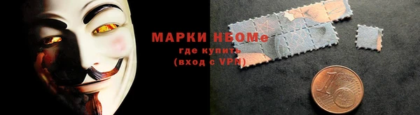 индика Елабуга