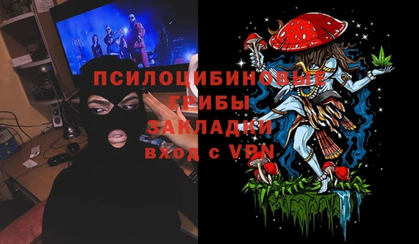 индика Елабуга