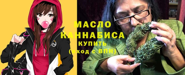 дмт Ельня