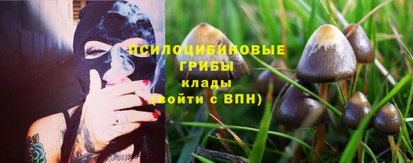 бутират Елизово