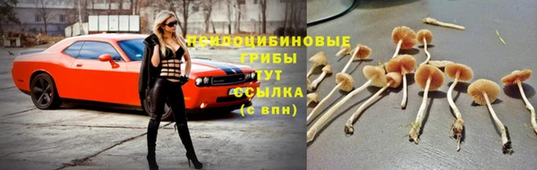 МДМА Дмитров