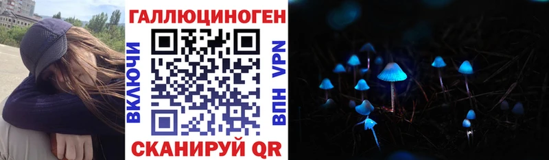 Псилоцибиновые грибы Psilocybine cubensis  Волчанск 